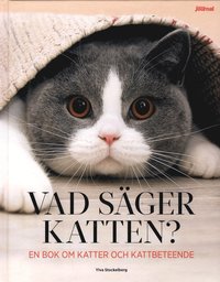 Vad sger katten? (inbunden)