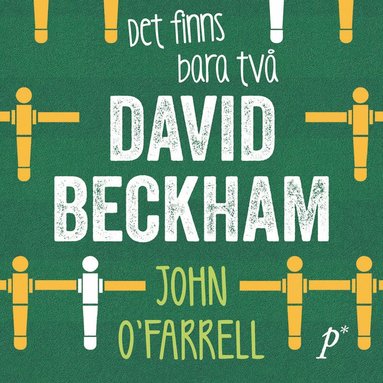 Det finns bara tv David Beckham (ljudbok)