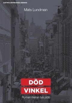 Dd vinkel : roman mellan tv jobb (hftad)