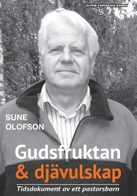 Gudsfruktan & djvulskap : Tidsdokument av ett pastorsbarn (hftad)