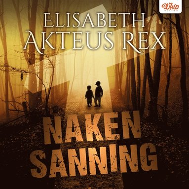 Naken Sanning (pocket)