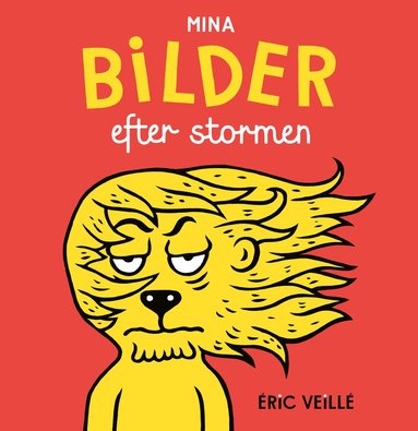 Mina bilder efter stormen (hftad)