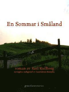 En sommar i Smland (e-bok)