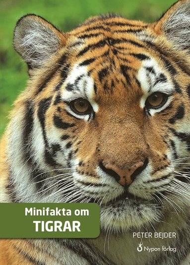 Minifakta om tigrar (inbunden)