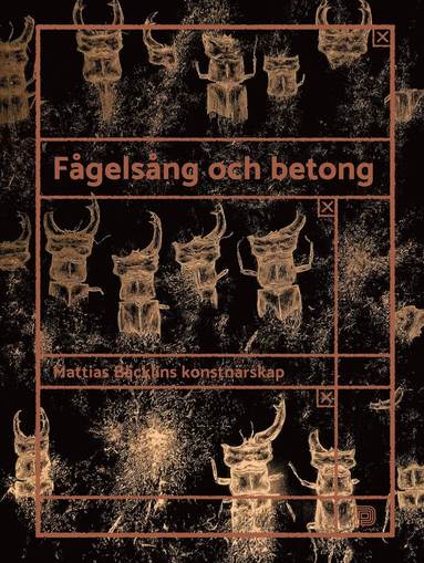 Fgelsng och betong: Mattias Bcklins konstnrskap (kartonnage)
