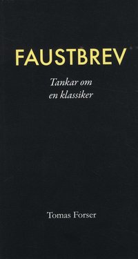 Faustbrev : Tankar om en klassiker (häftad)