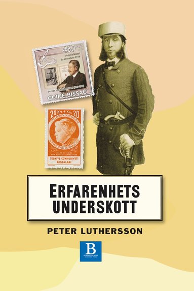 Erfarenhetsunderskott : noteringar om svensk 1800-talslitteratur (inbunden)