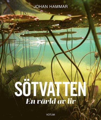 Stvatten : en vrld av liv (pocket)