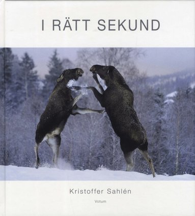 I rtt sekund (kartonnage)