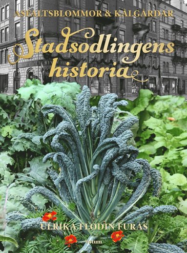 Stadsodlingens historia : klgrdar, kolonier & asfaltsblommor (inbunden)