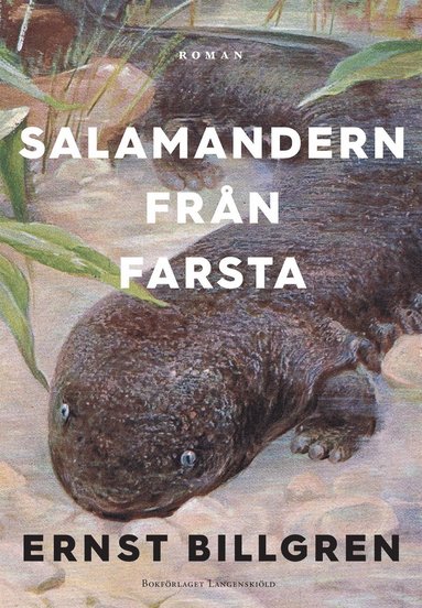 Salamandern frn Farsta (e-bok)