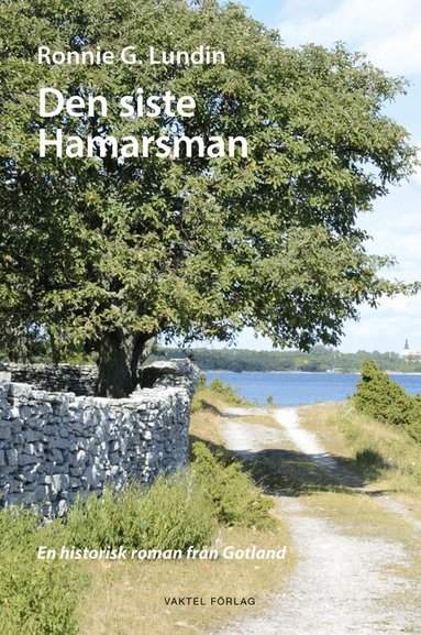 Den siste Hamarsman : en historisk roman fr�n Gotland (h�ftad)