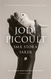 Små stora saker (e-bok)