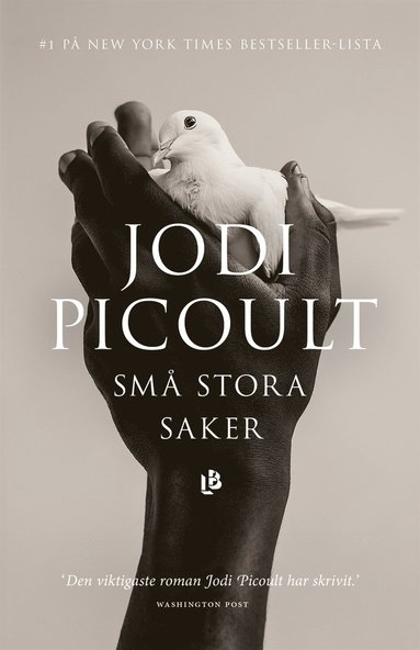 Små stora saker  (e-bok)