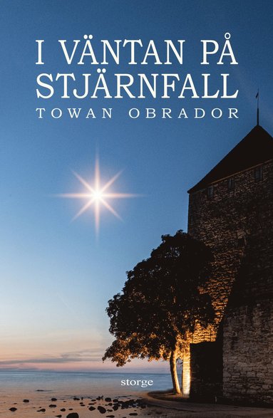 I väntan på stjärnfall (inbunden)