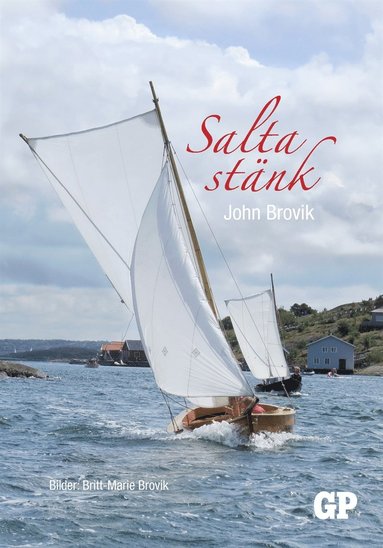 Salta stnk (e-bok)