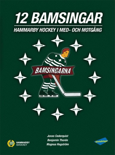 12 Bamsingar : Hammarby Hockey i med- och motg�ngar (inbunden)