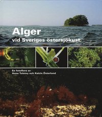 Alger vid Sveriges stersjkust : en fotoflora (inbunden)