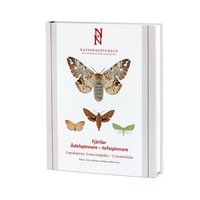 Nationalnyckeln : Fjrilar - delspinnare - tofsspinnare Lepidoptera Lasiocampi Lymantriidae (inbunden)