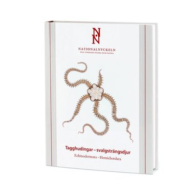 Tagghudingar - svalgstr�ngsdjur. Echinodermata - hemichordata (inbunden)