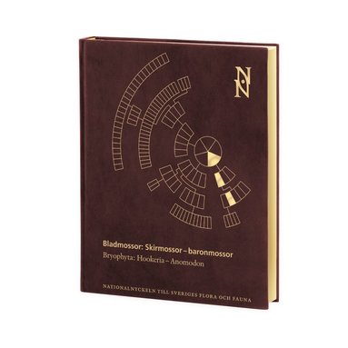 Bladmossor : skirmossor - baronmossor. Bryophyta : hookeria - anomodon (inbunden)