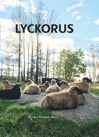 Lyckorus (e-bok)