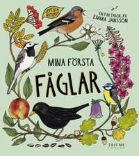 Omslag: Mina första fåglar