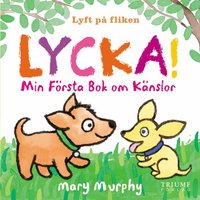 Omslag för Lycka! : min första bok om känslor
