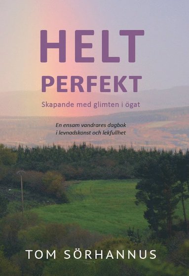 Helt perfekt : skapande med glimten i ögat - en ensam vandrares dagbok i levnadskonst  och lekfullhet (inbunden)