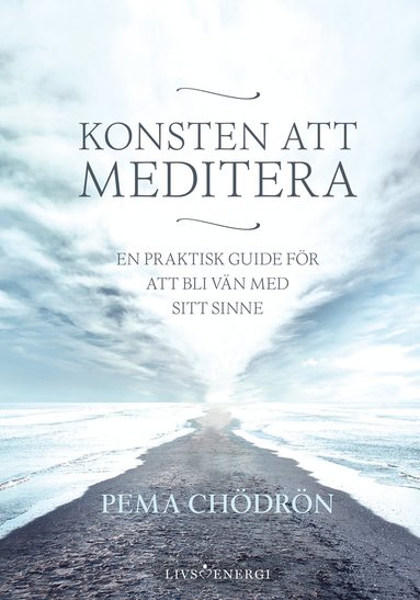 Konsten att meditera : En praktisk guide fr att bli vn med sitt sinne (pocket)