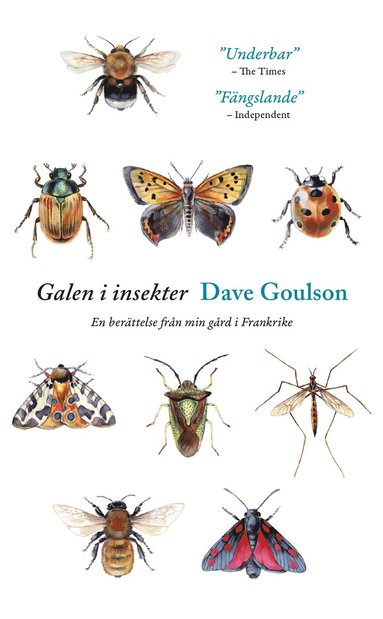 Galen i insekter : En berttelse frn min grd i Frankrike (hftad)