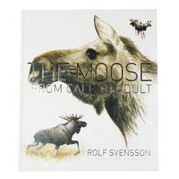The moose : from calf to adult (inbunden)