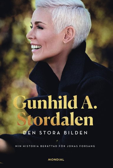 Den stora bilden (häftad)