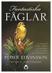 Fantastiska fåglar : en bevingad guide i hjärtat av fågelriket - full av passion och upptäckarlust (inbunden)
