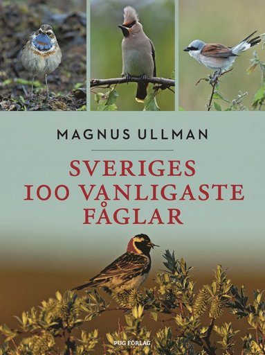 Sveriges 100 vanligaste fglar (hftad)