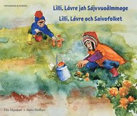 Lilli, Lávre och Saivofolket (umesamiska och svenska) (häftad)