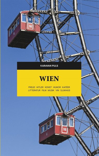 Wien. Freud, Hitler, konst, humor, kafer, litteratur, film, musik, vin, sjukhus (e-bok)