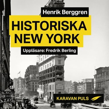 Historiska New York (ljudbok)