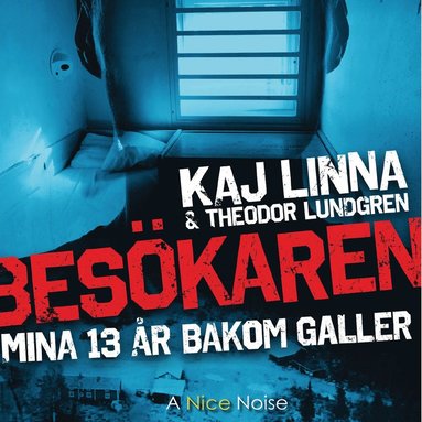 Bes�karen : mina 13 �r bakom galler (kartonnage)