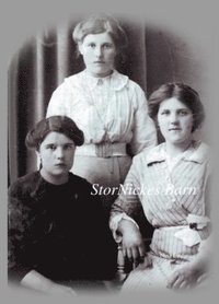 Stornickes Barn Nina Linder Pdf Fovatinea