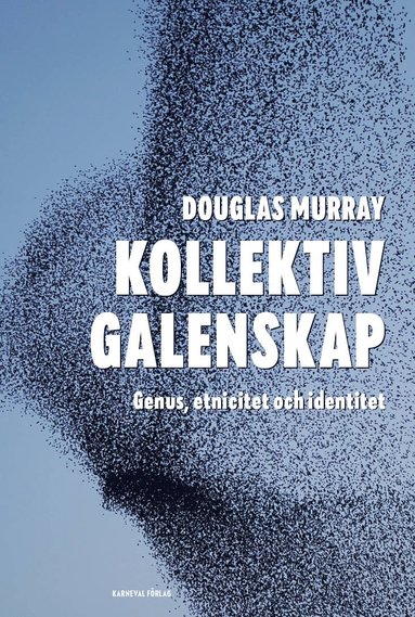 Kollektiv galenskap : genus, etnicitet och identitet (pocket)
