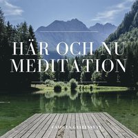 Meditation - Hr och nu  (ljudbok)
