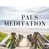 Paus- meditation  (ljudbok)