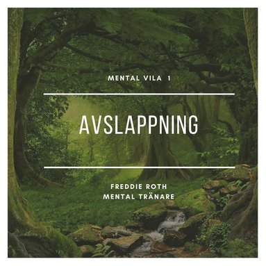 Mental vila 1 (ljudbok)