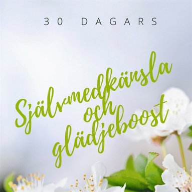 Sjlvmedknsla och gldjeboost (hftad)