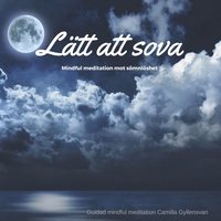 Ltt att sova (ljudbok)