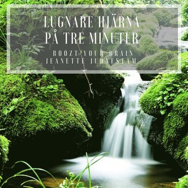 Lugnare hjrna p 3 minuter  (inbunden)