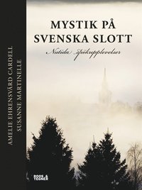 Mystik på svenska slott : Nutida spökupplevelser (e-bok)