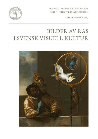 Bilder av ras i svensk visuell kultur (pocket)