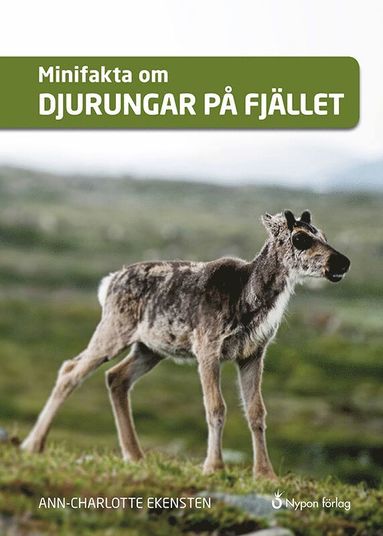Minifakta om djurungar p fjllet (inbunden)